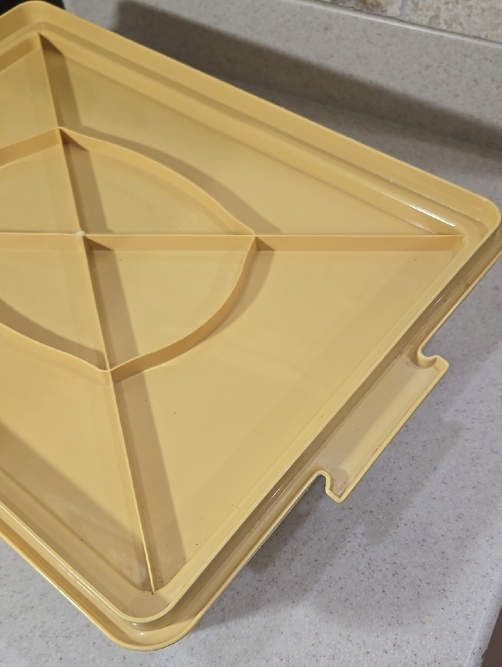 Vintage Tupperware Plastic Rectangular Sheetcake Storage - Picture 4 of 14